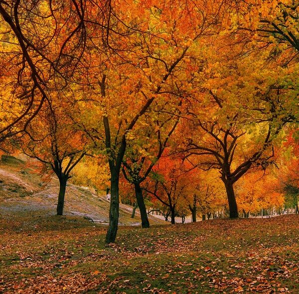 Hunza Autumn