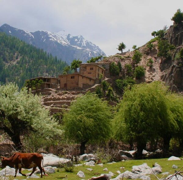 Kalash village Bomburet valley