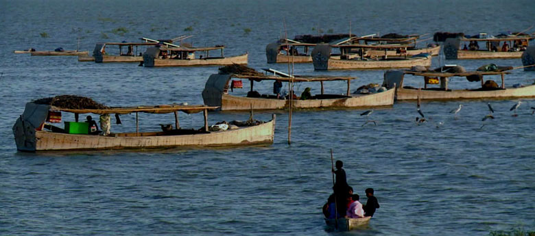 Manchar Lake