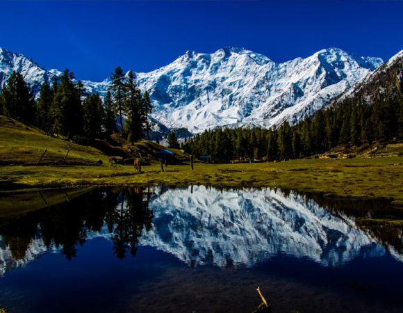 Nanga Parbat - Rupal Valley Trek