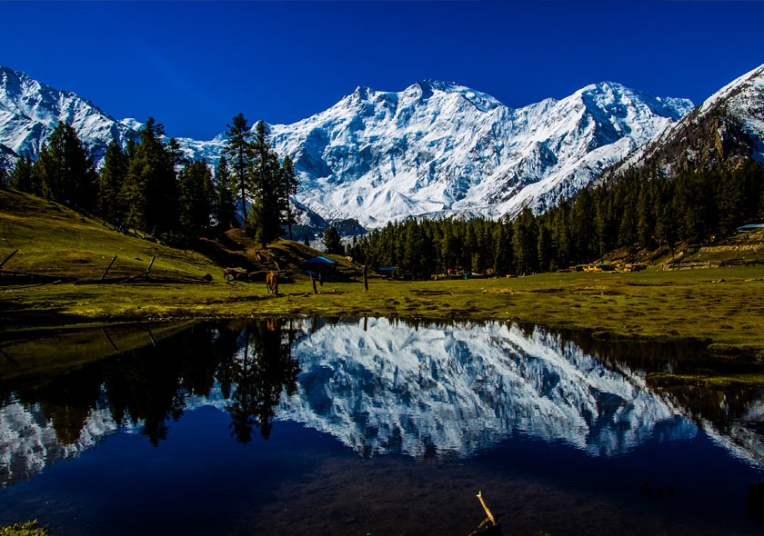 Nanga Parbat - Rupal Valley Trek